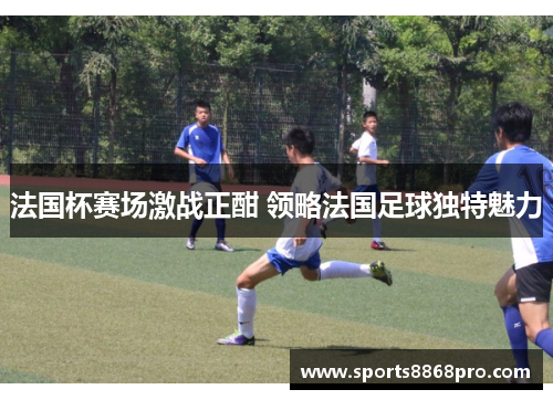法国杯赛场激战正酣 领略法国足球独特魅力