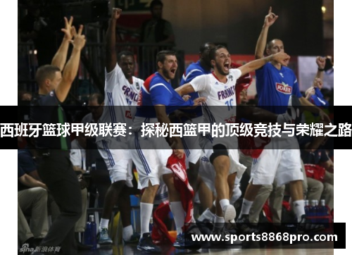 西班牙篮球甲级联赛：探秘西篮甲的顶级竞技与荣耀之路